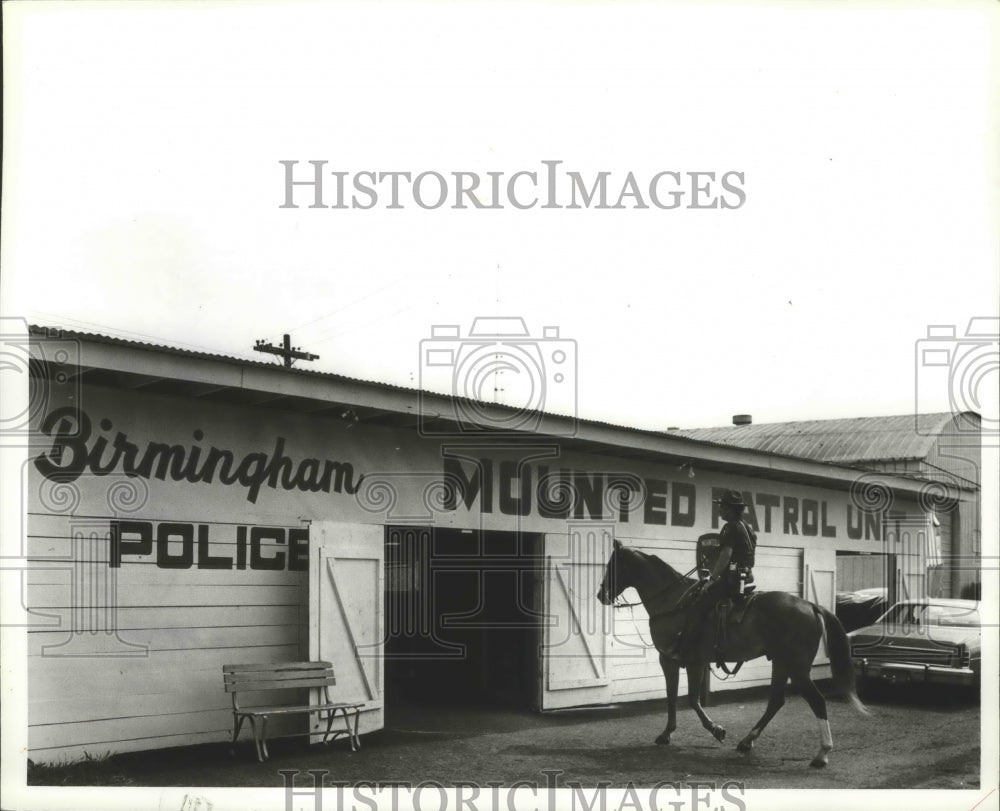 1982 Press Photo Alabama-Birmingham Mounted Patrol officer rides horse to barn. - Historic Images