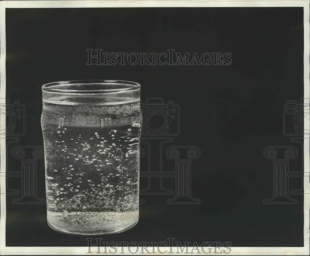 1978 Press Photo Alabama-Birmingham Water Works provides clean drinking water. - Historic Images