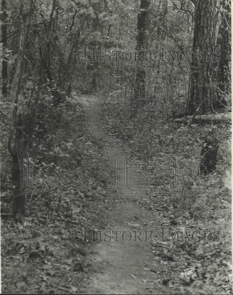 1979 Press Photo Alabama-Birmingham&#39;s Ruffner Mountain Park nature trails. - Historic Images