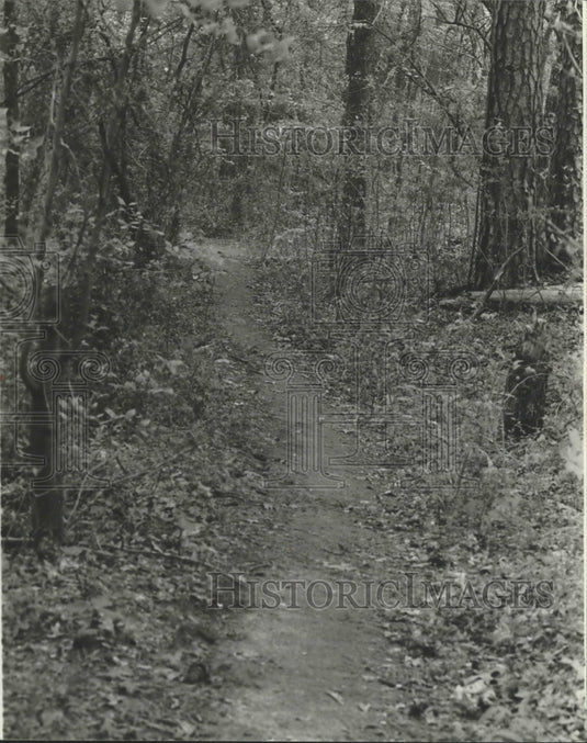 1979 Press Photo Alabama-Birmingham's Ruffner Mountain Park nature trails. - Historic Images