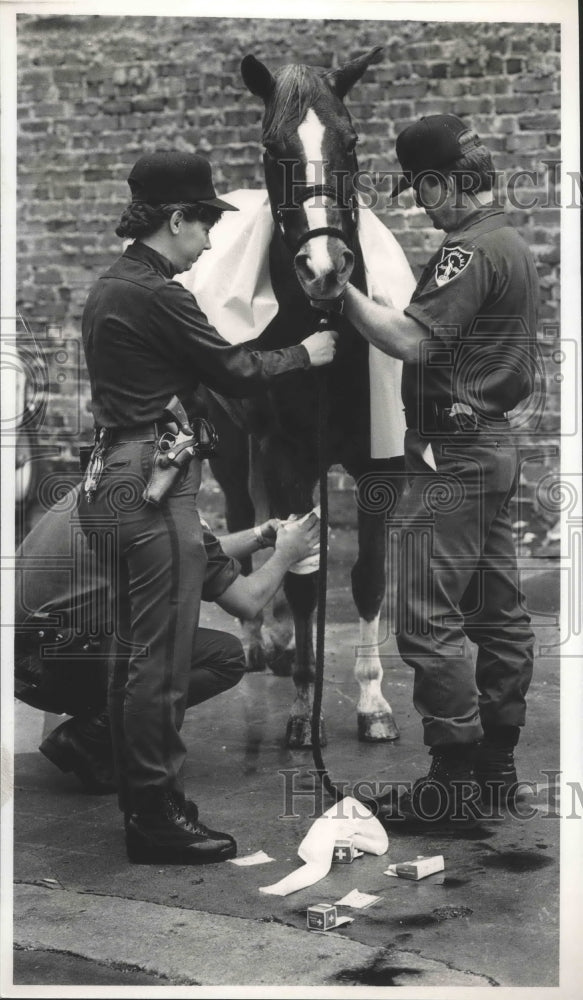 1987 Press Photo Alabama-Birmingham Police Mounted Patrolmen work on horse. - Historic Images