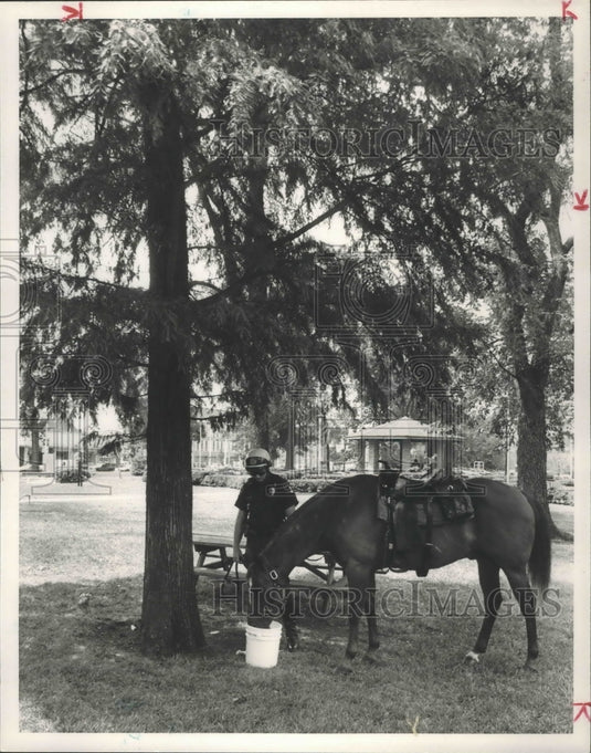 1988 Press Photo Alabama-Birmingham Police Mounted Patrol Officer and his horse. - Historic Images