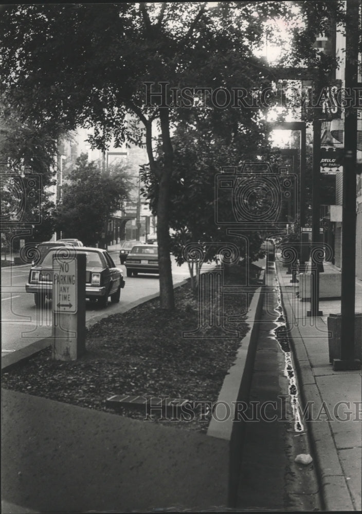 1988 Press Photo Third Avenue North and 19thStreet Planters, Birmingham, Alabama - Historic Images