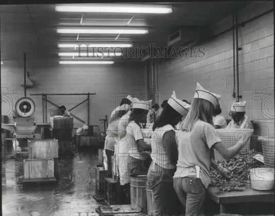1978 Alabama-People sorting shrimp for packaging at Bon Secour Co.-Historic Images
