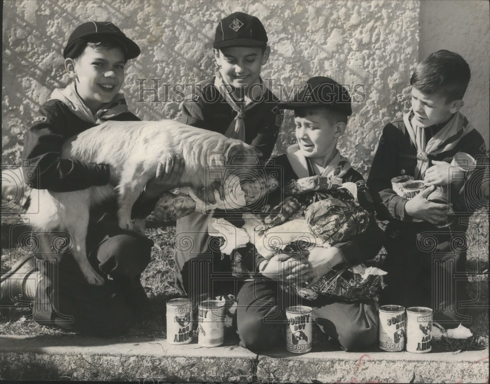 1954, Alabama- Boys from Cub Scout Pack 328 give dogs Christmas gifts - Historic Images