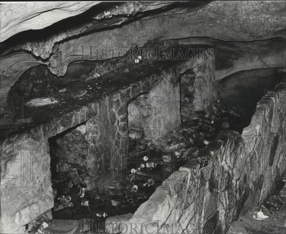 1977 Press Photo A Cave in Alabama - abna07319 - Historic Images
