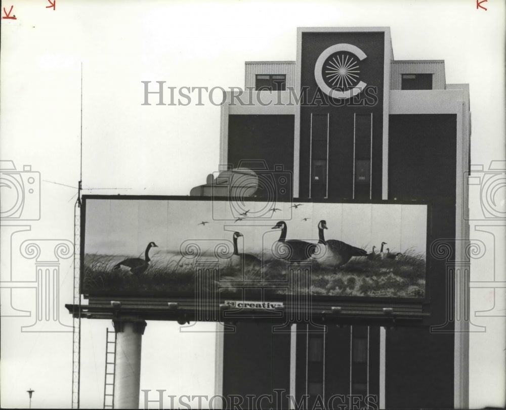 1981 Press Photo First Alabama Artist Billboard on View, Birmingham, Alabama - Historic Images