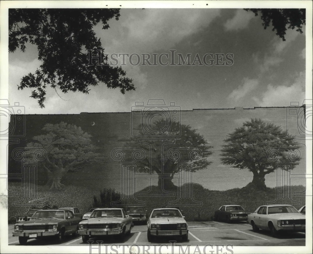 1979 Press Photo Michael Mojher&#39;s Mural, 7th Avenue N. and 19th St., Birmingham - Historic Images