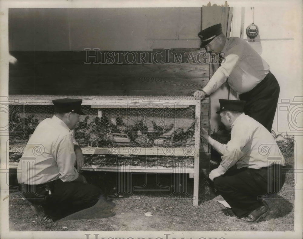 1948 Press Photo Firemen Check Out Chickens Slated For Dinner, Alabama - Historic Images