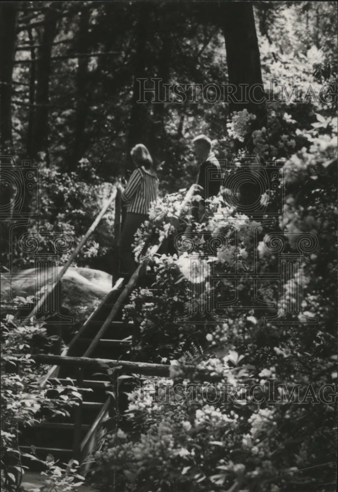 1957 Press Photo Alabama-People waking through the Dismals' Wonder Gardens. - Historic Images