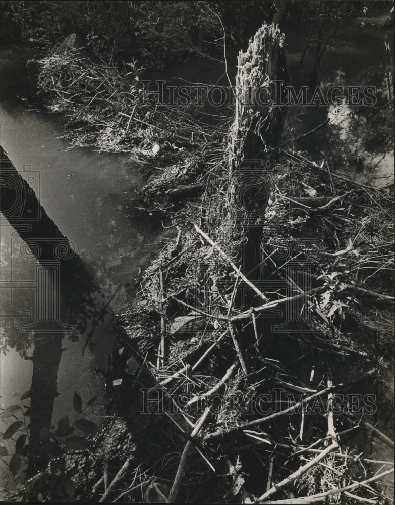 1984 Press Photo Alabama-A beaver dam on Gurley Creek. - abna07745 - Historic Images