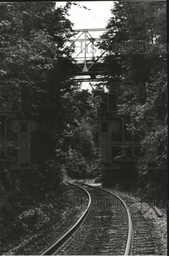 1979 Press Photo Auto Crosses Bridge Over Genery Gap in Alabama - abna07792 - Historic Images