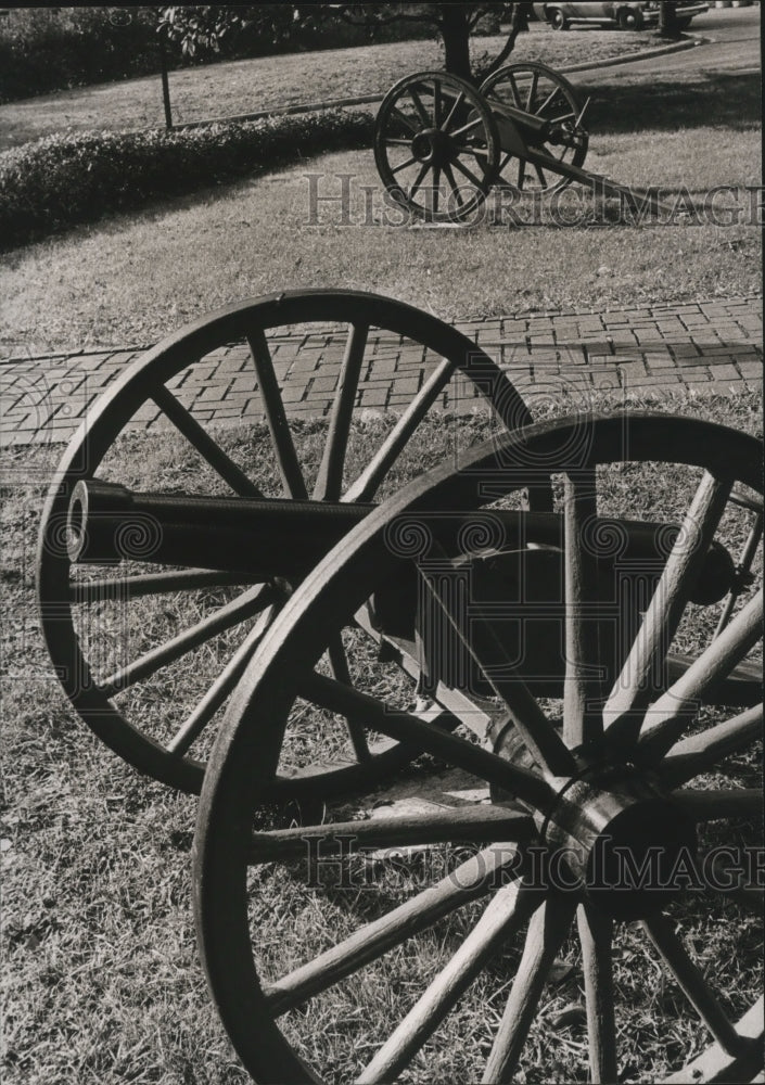 1975 Press Photo Cannons Line Arlington House Driveway, Birmingham, Alabama - Historic Images