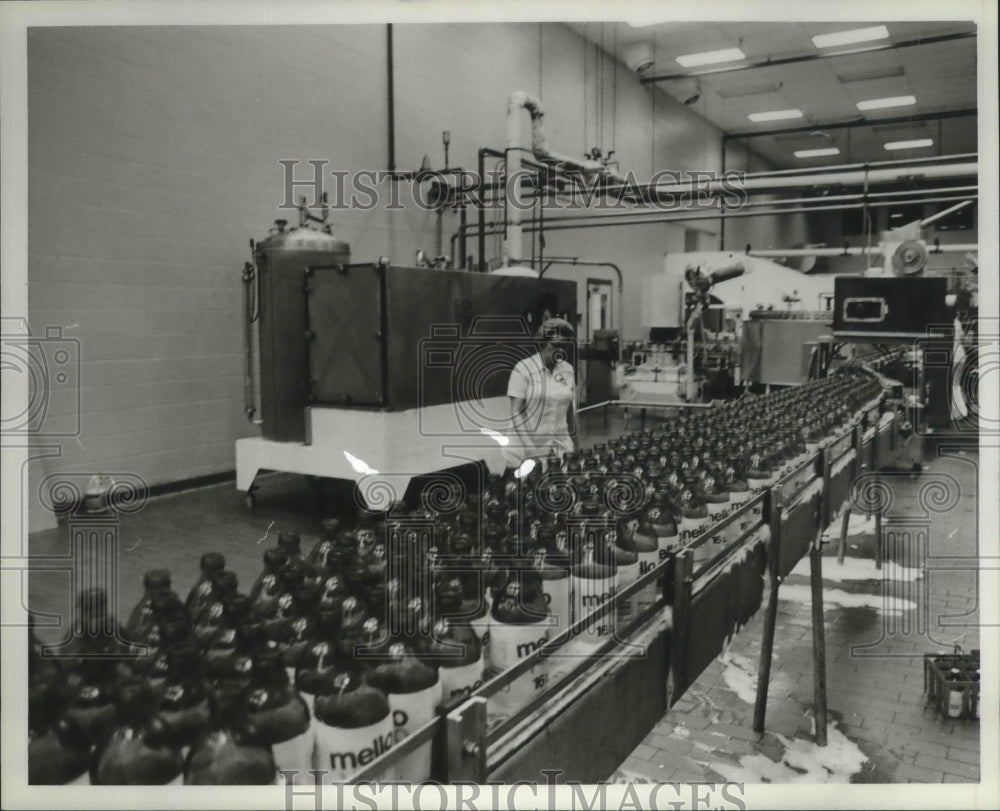 1981 Press Photo Alabama-Birmingham&#39;s Cola Cola bottling Company assembly line. - Historic Images