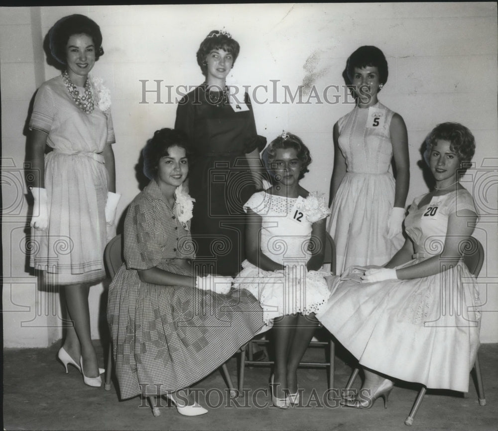 1962 Press Photo Cherokee County, Alabama Maid of Cotton Selected - abna08530 - Historic Images