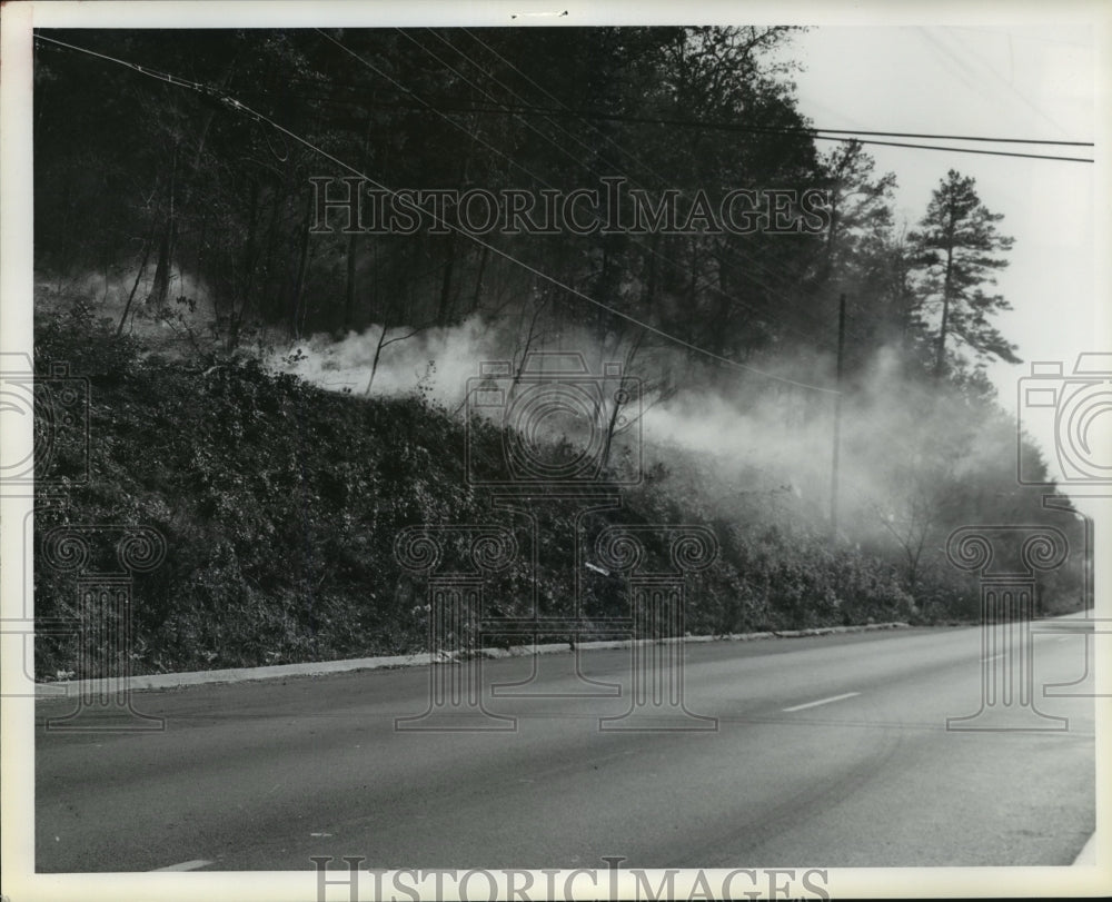 1978 Press Photo Alabama-Forest fire along the highway. - abna08723 - Historic Images