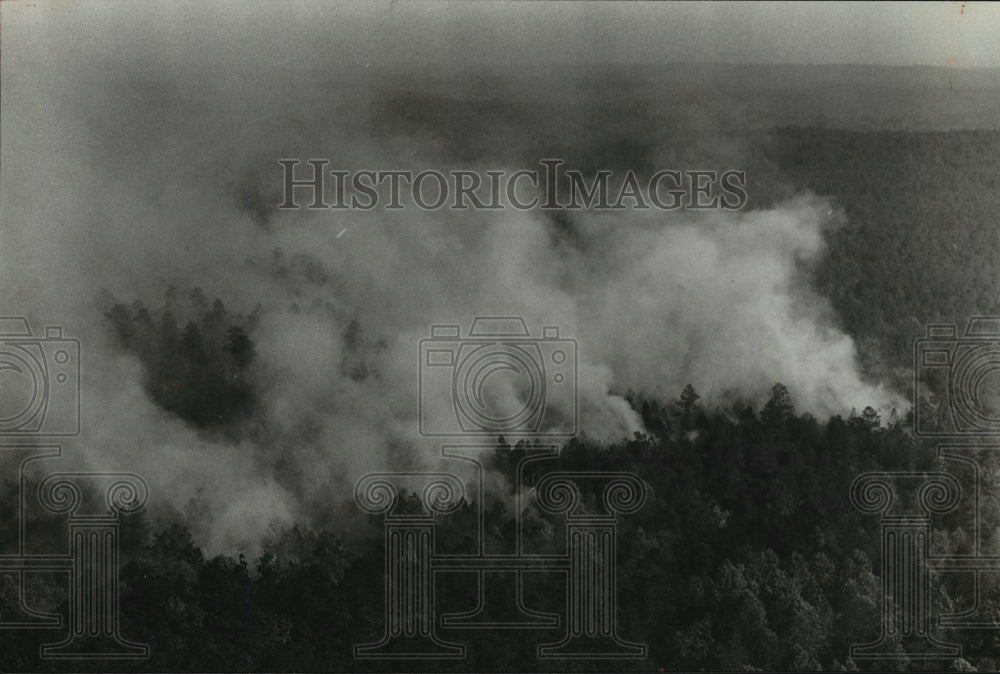 1978 Press Photo Alabama-Dense smoke rises from a forest fire in Shelby.-Historic Images