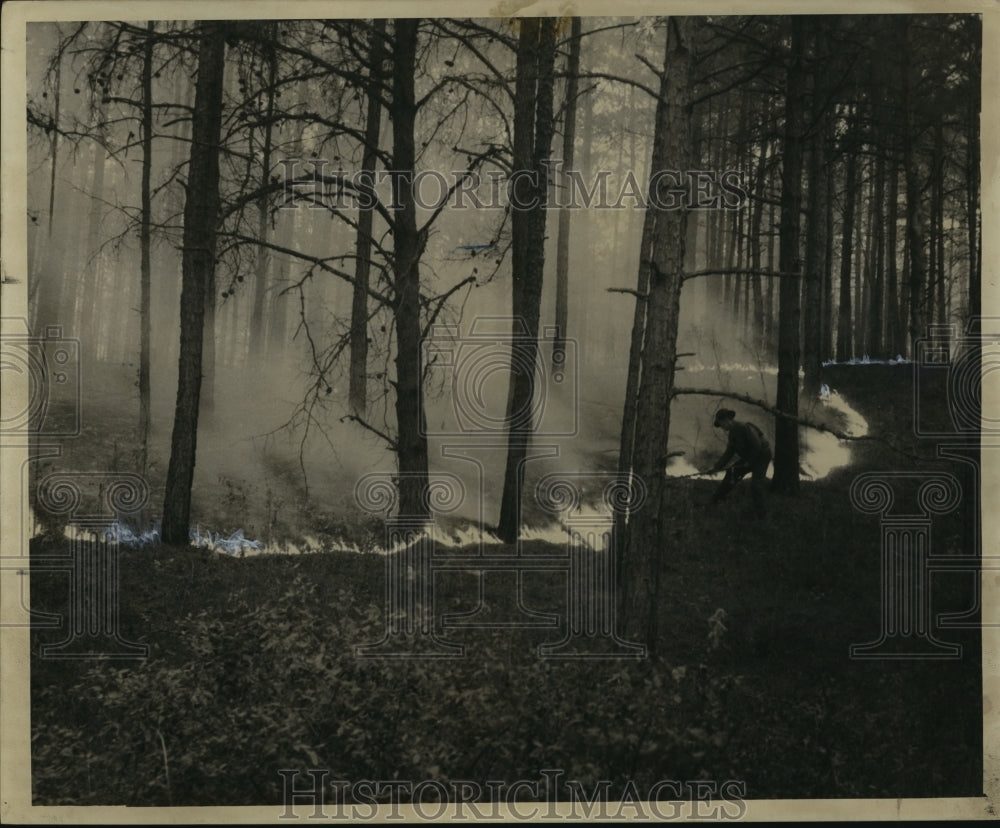 1943 Firefighter fighting forest fire with perimeter burn. - Historic Images