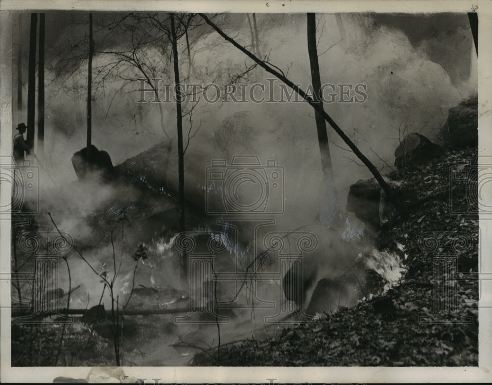 1948 Press Photo Alabama forest fires. - abna08736 - Historic Images