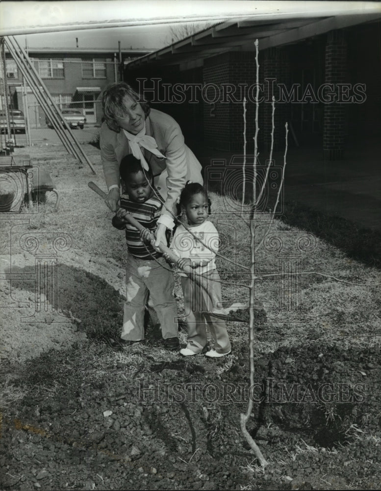 1981 Press Photo Collegeville Day Care Center Plants Trees, Birmingham, Alabama - Historic Images