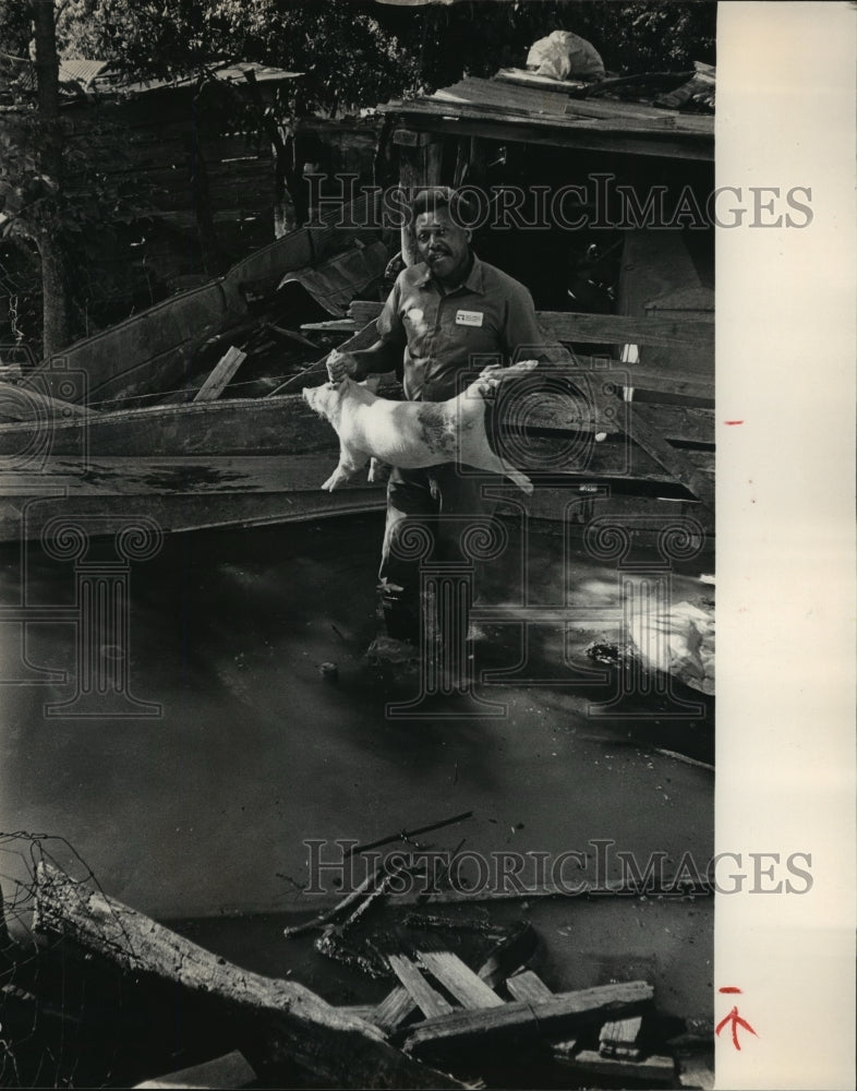 1983 Press Photo Alabama-John Rice carries pig to higher ground during flood. - Historic Images