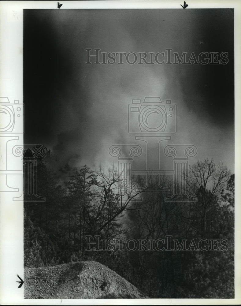 1981 Press Photo Alabama-Fire burns in Clay, just off Clay-Trussville Road. - Historic Images