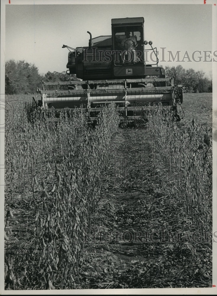 1988, Harvesting Soybeans Near Speake, Alabama - abna09339 - Historic Images