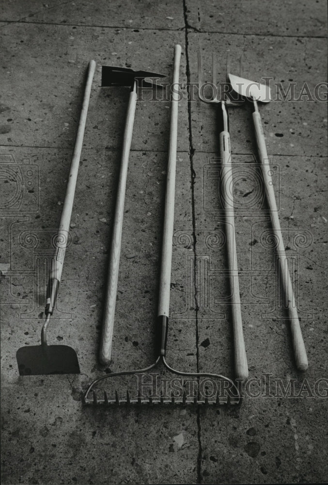 1981 Farming Tools in Alabama-Historic Images
