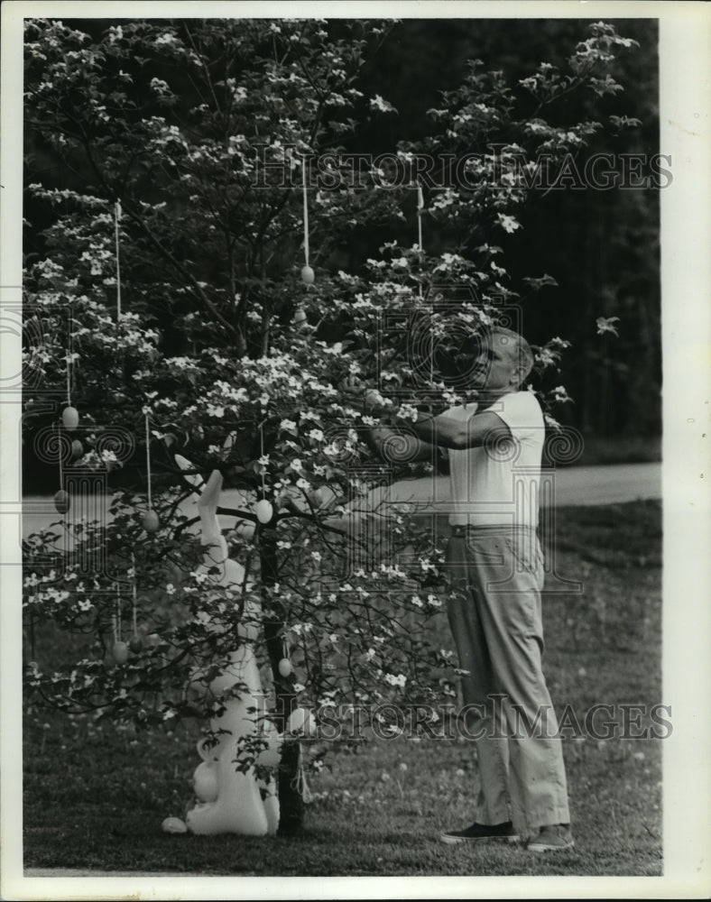 1981 Press Photo Setting Up Easter Egg Tree, Alabama - abna09474 - Historic Images