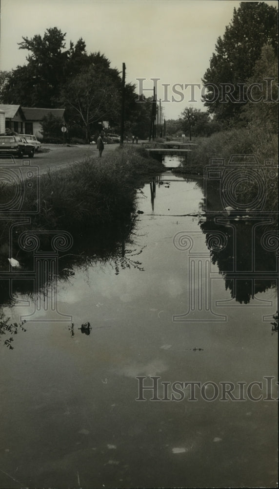 1972 Alabama-Some Ensley residents use Village Creek for dump site.-Historic Images