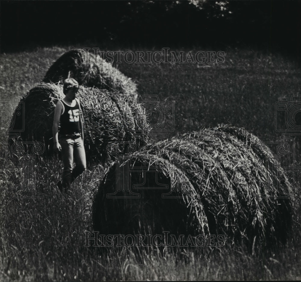 1983 Press Photo Alabama-Hay field in Brent along County road 28. - abna09929 - Historic Images
