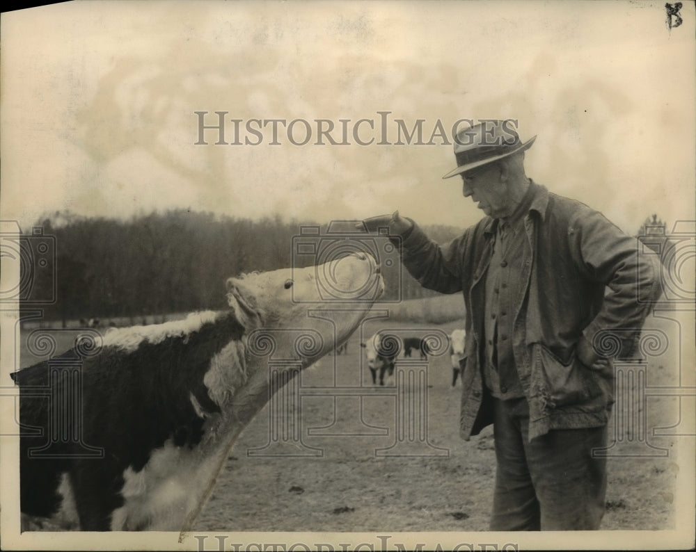 1948 Press Photo Alabama-Farmer looks at cow on his Jefferson County farm. - Historic Images
