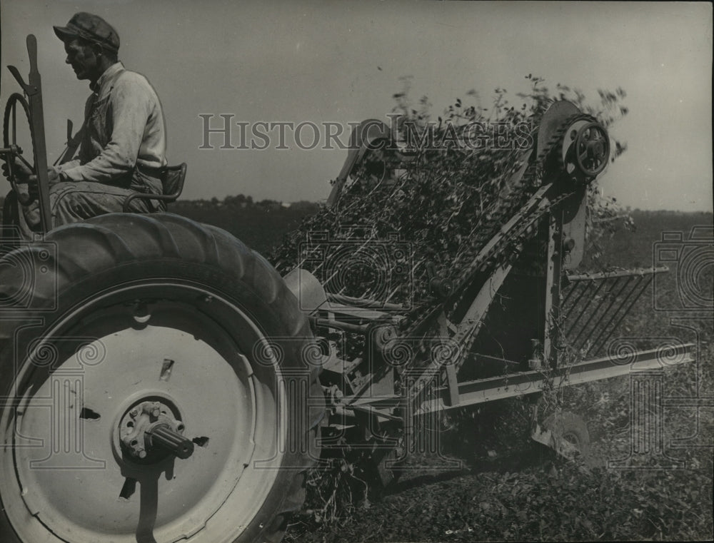 1951 Press Photo Farmer Clegger, driving a shaker tractor. - abna09964 - Historic Images