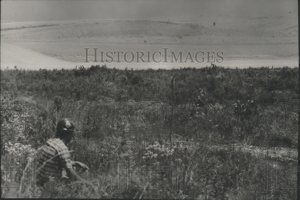 1984 Press Photo Alabama-View of contrasting landscape at hazardous waste dump - Historic Images