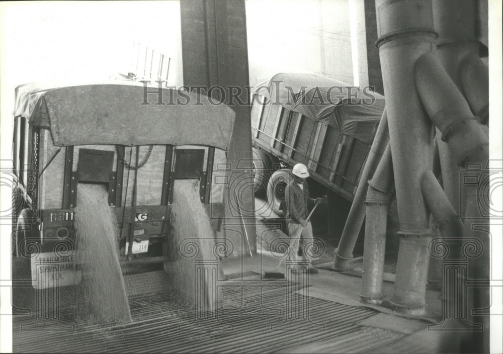 1979 Press Photo Alabama-Decatur-Trucks unload on tilting platform at Gold Kist. - Historic Images