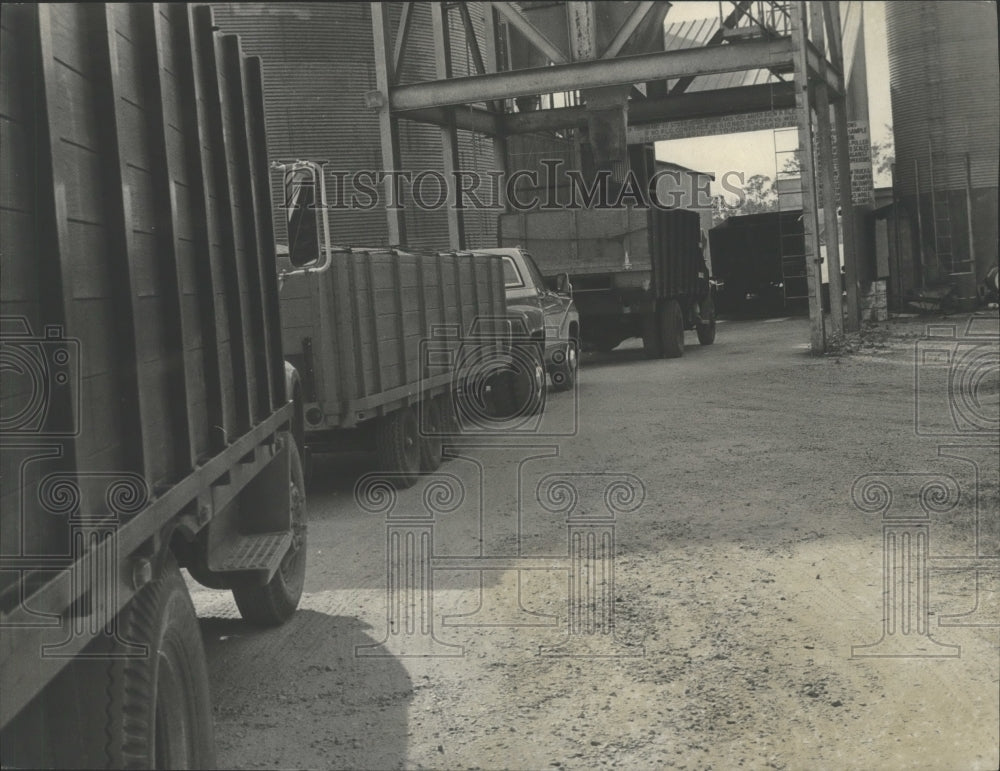 1978 Press Photo Alabama-Trucks lined up waiting to unload soybeans at Andalusia - Historic Images