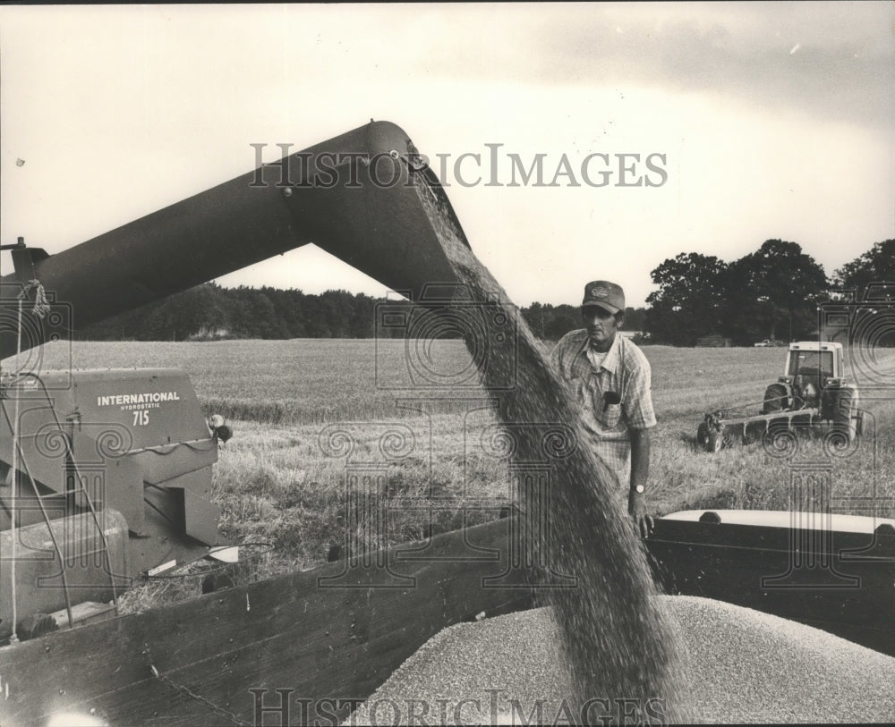 1984 Press Photo Alabama-Mike Lindsay watches combine unload wheat into trailer. - Historic Images