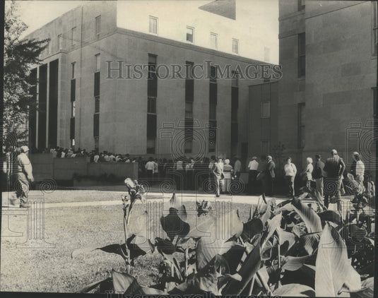 1977 Press Photo Crowd in line outside Jefferson County Courthouse - abna10846 - Historic Images