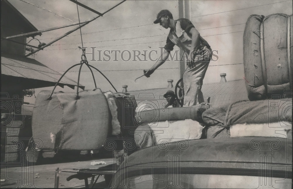 1960 Worker putting baled cotton onto truck-Historic Images