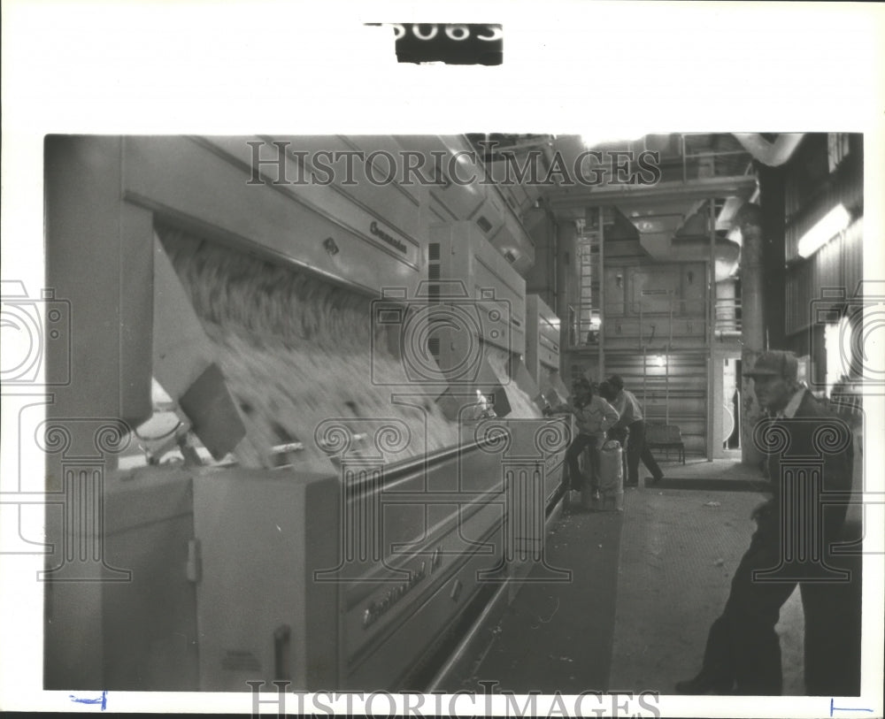 1979 Press Photo Cotton flows through ginning machine to separate debris - Historic Images