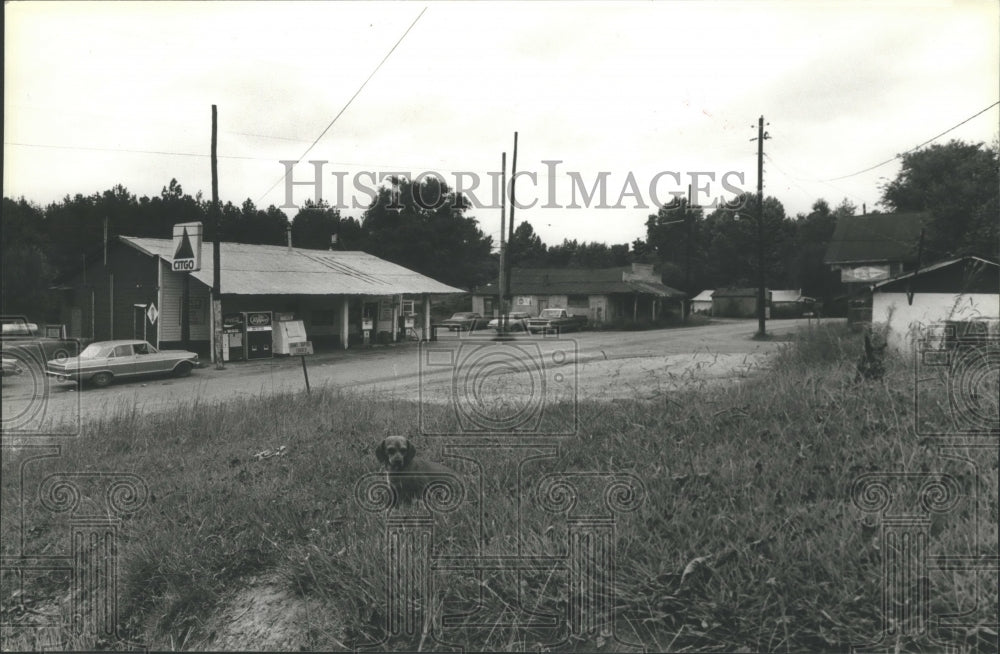 1979 Press Photo City view of Johns, Alabama - abna10895 - Historic Images