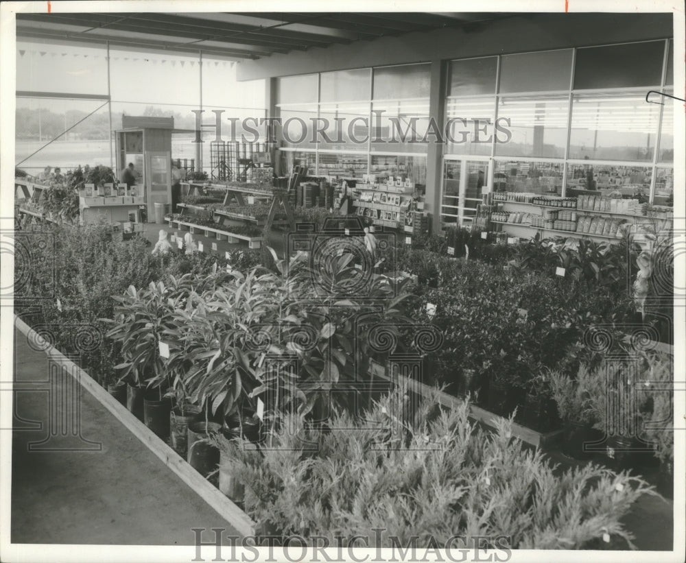 1976 Press Photo Garden center of Handy Dan store, Homewood, Alabama - abna10982 - Historic Images