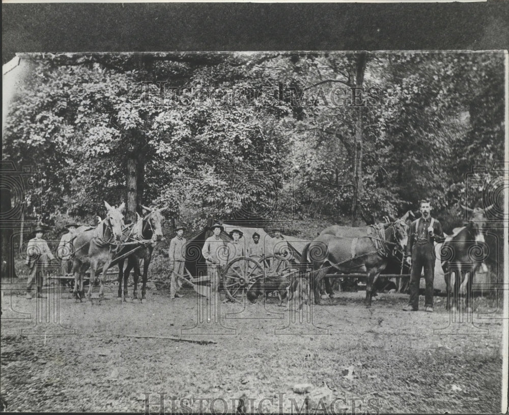 1980 Press Photo Mules were used for roads when Buddy Brewer worked for county - Historic Images