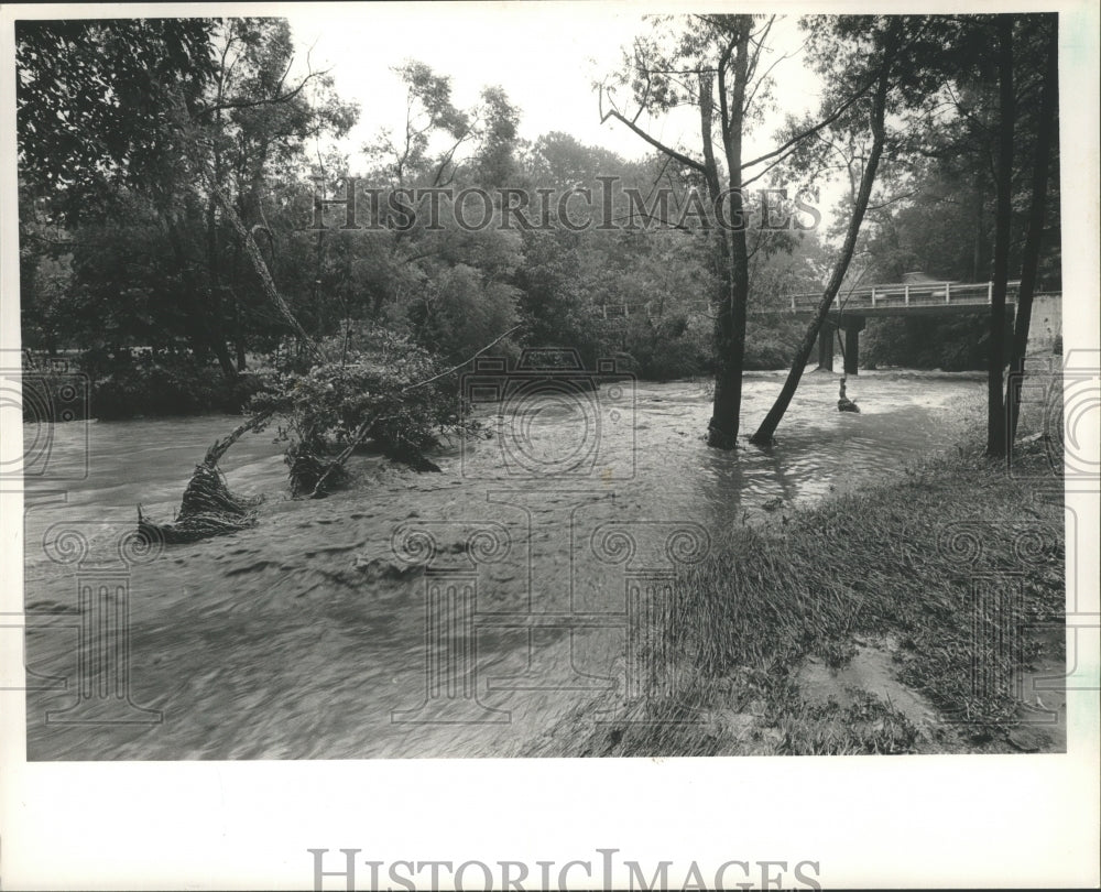 1988 Press Photo Patton Creek overflows it banks in City of Hoover, Alabama - Historic Images