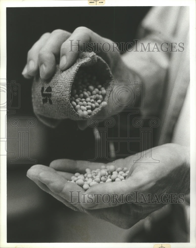 1979 Press Photo sample bag of Gold Kist Company seeds, Decatur, Alabama - Historic Images