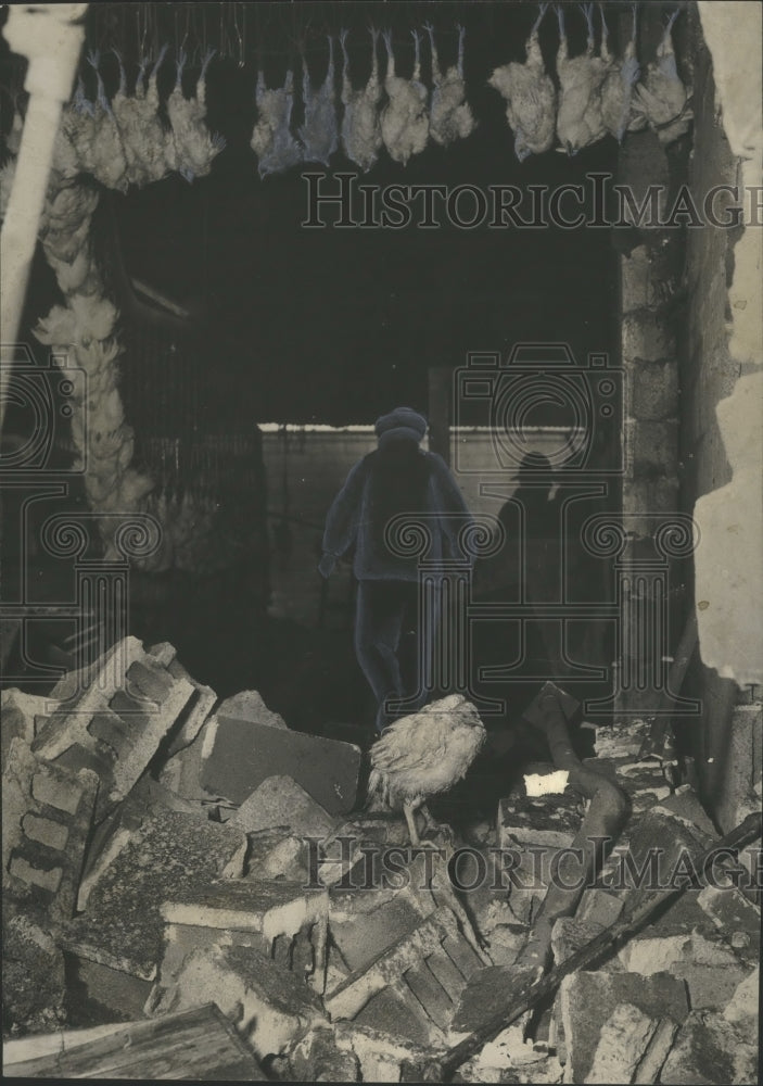 1956, Poultry plant damaged by explosion at Marshall Durbin, Alabama - Historic Images