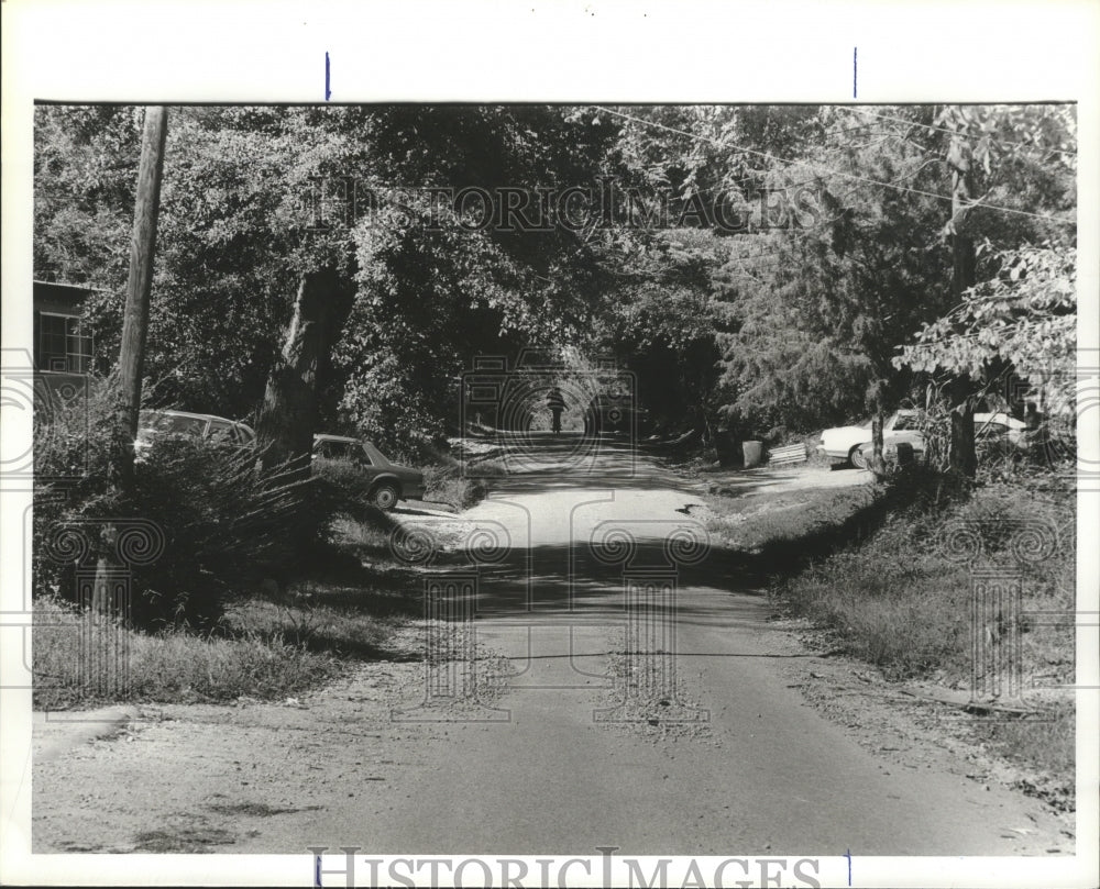 1980 Press Photo street conditions, Liberty Heights section, Helena, Alabama - Historic Images