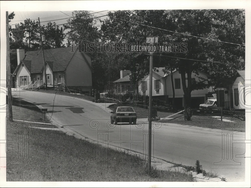 1986 Press Photo Homes in Chestnut Hills on Chestnut Drive - abna11733 - Historic Images