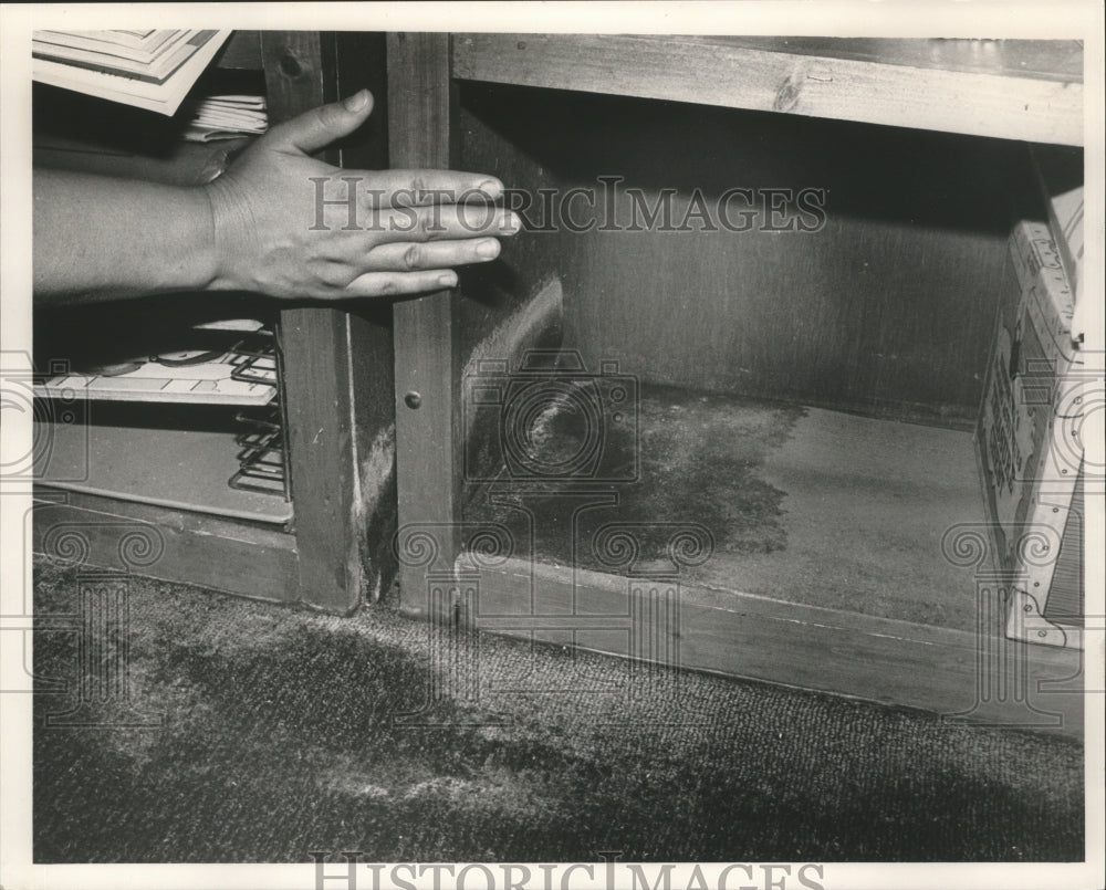 1986 Press Photo Mildew damage at Pleasant Grove Elementary, Jefferson County - Historic Images