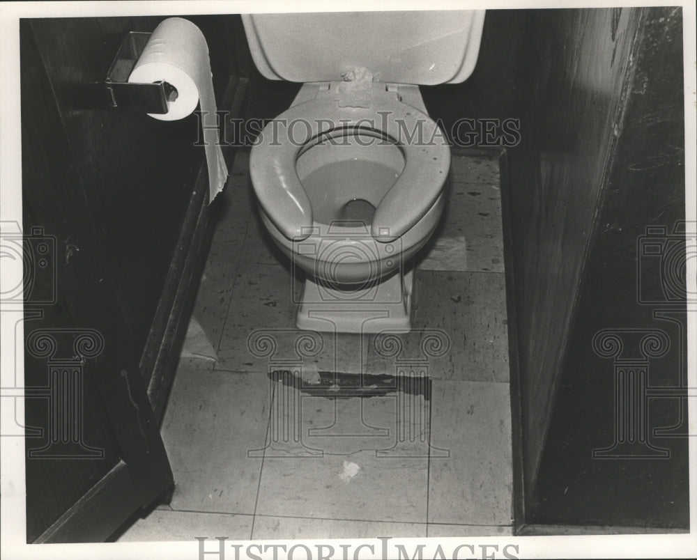 1986 Press Photo Damage in girls restroom at Pleasant Grove, Jefferson County - Historic Images